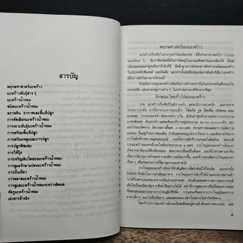 มะพร้าวน้ำหอม - กลุ่มเกษตรสัญจร รูปที่ 7