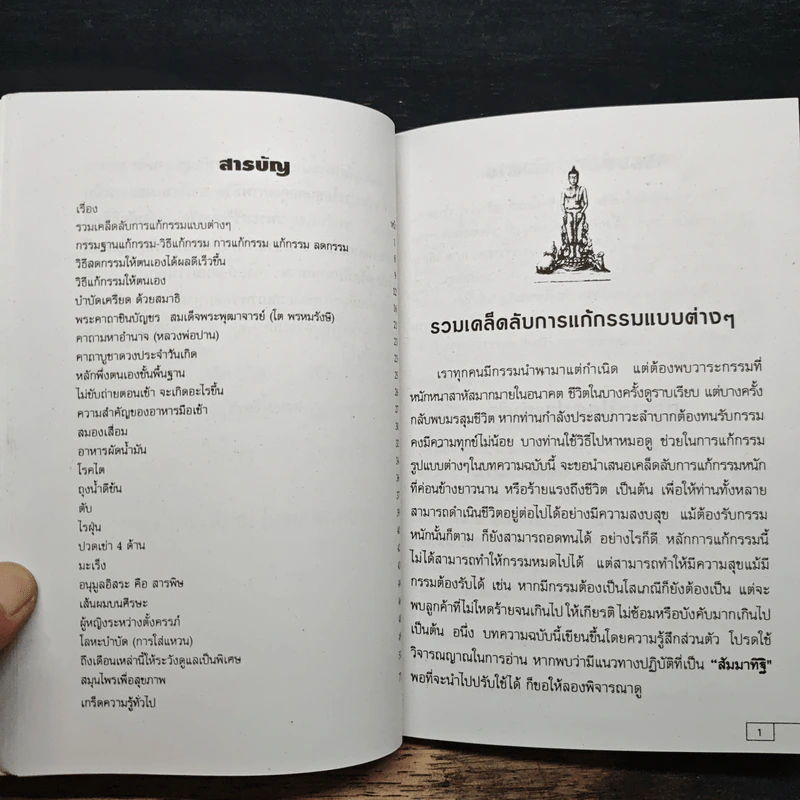 เคล็ดวิธีแก้กรรม-ปัญหาชีวิต กินอย่างไร-ไร้โรคภัย รูปที่ 7