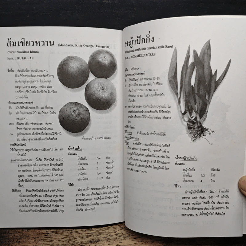 เคล็ดวิธีแก้กรรม-ปัญหาชีวิต กินอย่างไร-ไร้โรคภัย รูปที่ 8