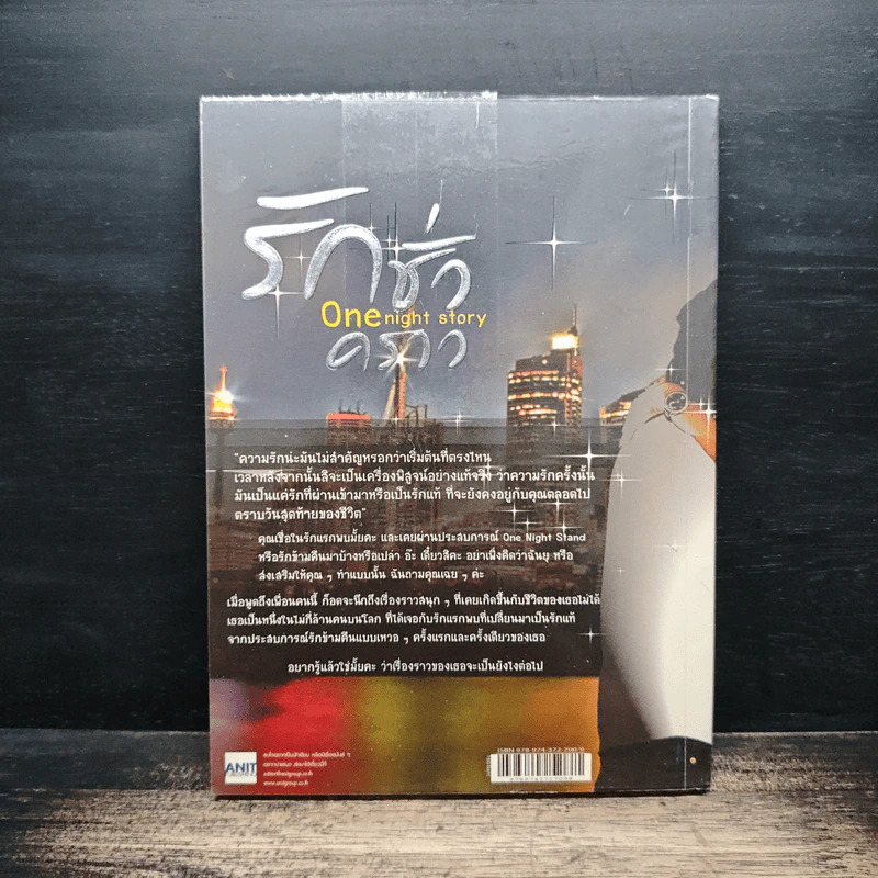 รักชั่วคราว One night story รูปที่ 2