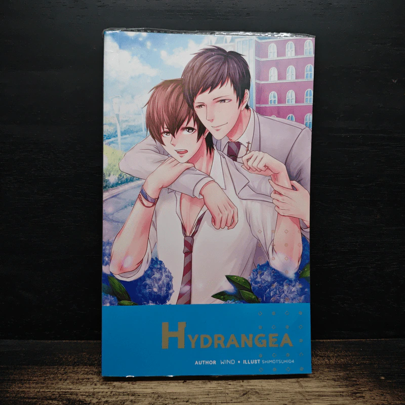 HYDRANGEA ไฮเดรนเยีย - Wind รูปที่ 1