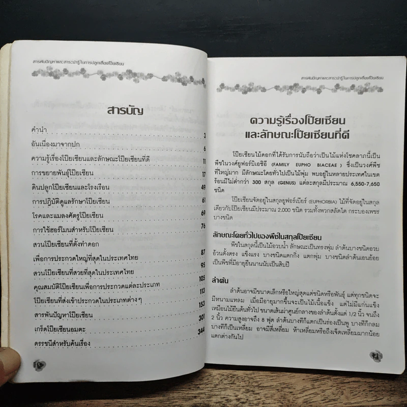 สารพันปัญหาและสาระน่ารู้ ในการปลูกเลี้ยงโป๊ยเซียน รูปที่ 7