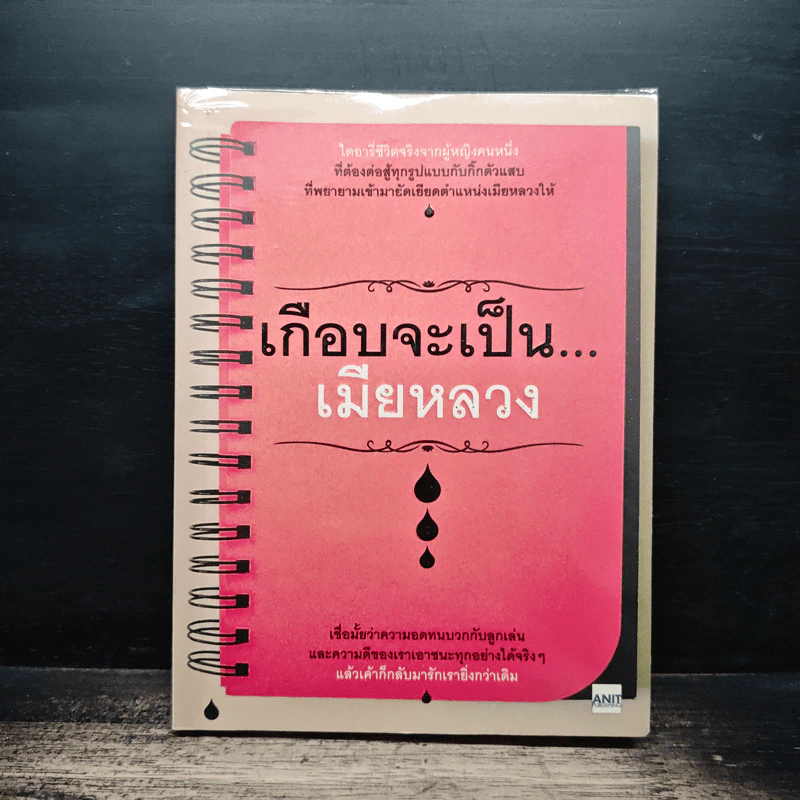 เกือบจะเป็น...เมียหลวง - มาดาม ซี.เจ. รูปที่ 1