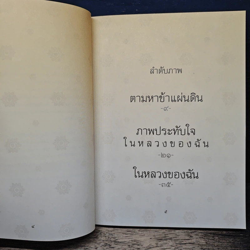 ในหลวงของฉัน รูปที่ 6