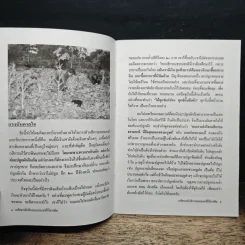 มหัศจรรย์กสิกรรมธรรมชาติไร้สารพิษ - ครูอุดม ศรีเชียงสา รูปที่ 8