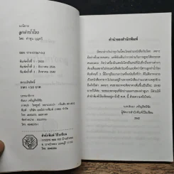 ลูกลำน้ำโขง - คำพูน บุญทวี รูปที่ 8
