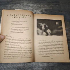 คนเหงา - พิบูลศักดิ์ ละครพล รูปที่ 7