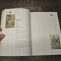 ของขวัญ - บันไดไม้ รูปที่ 6