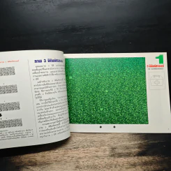 3D ภาพ 3 มิติมหัศจรรย์ รูปที่ 6