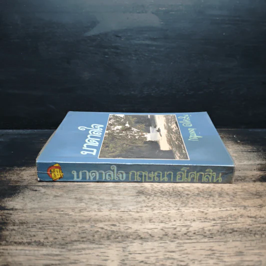 บาดาลใจ - กฤษณา อโศกสิน รูปที่ 3