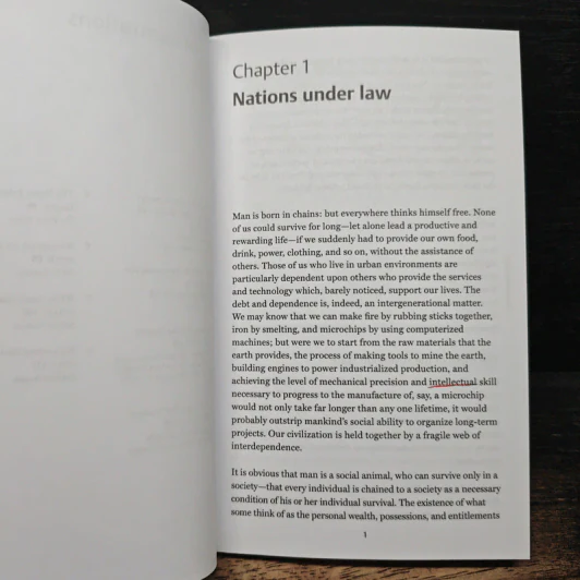 International Law A Very Short Introduction รูปที่ 8