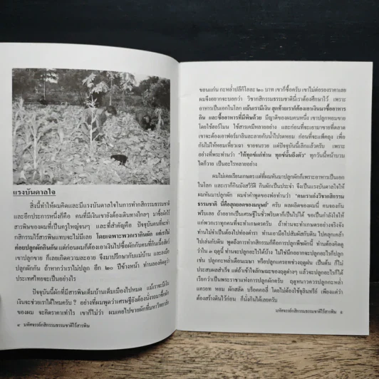 มหัศจรรย์กสิกรรมธรรมชาติไร้สารพิษ - ครูอุดม ศรีเชียงสา รูปที่ 8