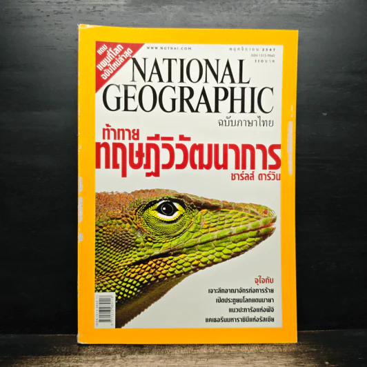 NATIONAL GEOGRAPHIC  พ.ย.2547 รูปที่ 1