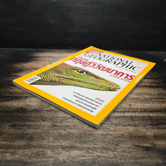 NATIONAL GEOGRAPHIC  พ.ย.2547 รูปที่ 5