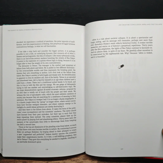 The Impact of Akira: A Manga (R)evolution - Remi Lopez รูปที่ 10