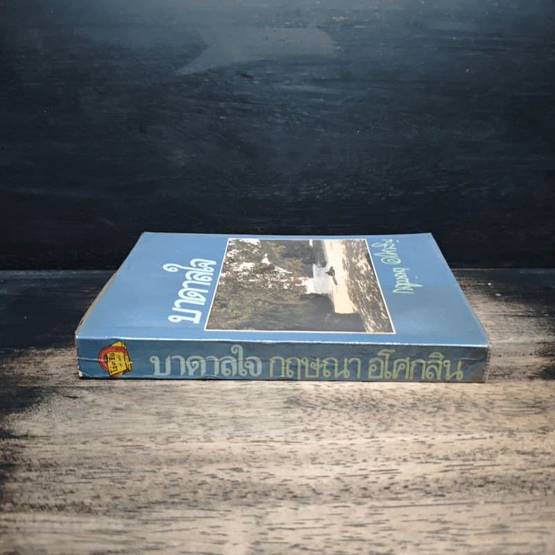 บาดาลใจ - กฤษณา อโศกสิน รูปที่ 3