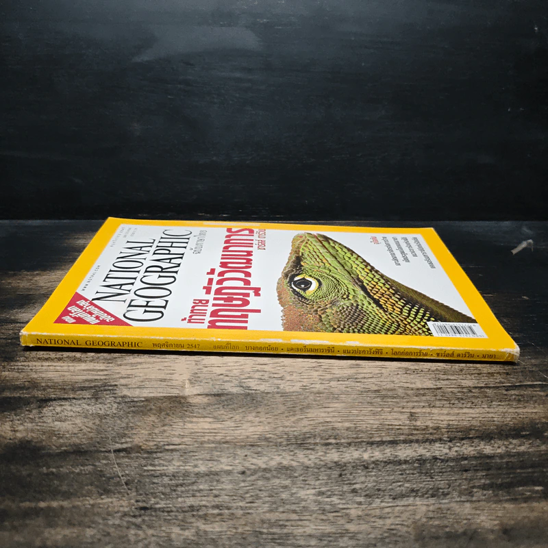 NATIONAL GEOGRAPHIC  พ.ย.2547 รูปที่ 4