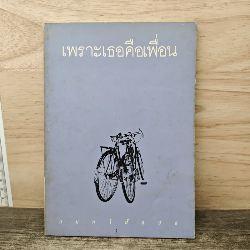 เพราะเธอคือเพื่อน - แมกไม้ รูปที่ 1