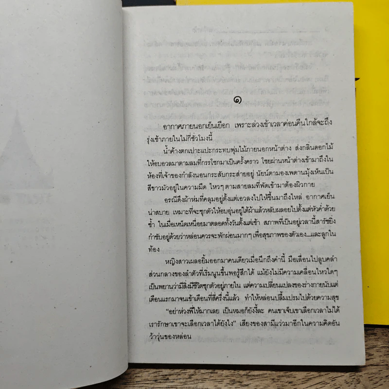 นางทิพย์ 2 เล่มจบ - แก้วเก้า รูปที่ 6
