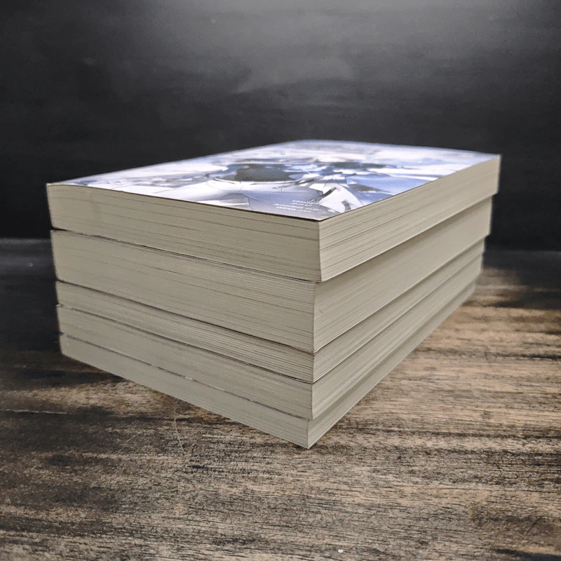 เวทมนตร์ของผู้กลับมาต้องไม่ธรรมดา เล่ม 1-5 รูปที่ 3