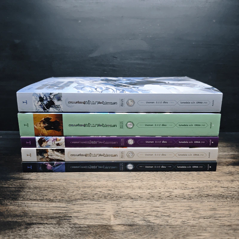 เวทมนตร์ของผู้กลับมาต้องไม่ธรรมดา เล่ม 1-5 รูปที่ 2