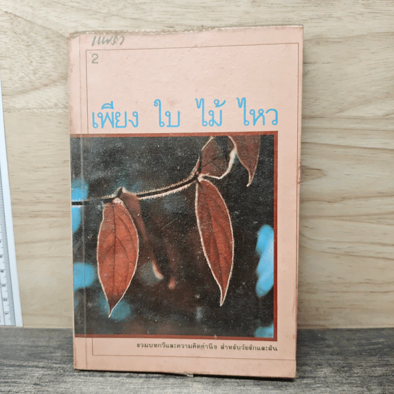 เพียงใบไม้ไหว - แพรว รูปที่ 1
