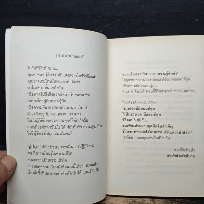 ยังมีแสงสว่างบนเส้นทางชีวิตเสมอ - ปูปรุง รูปที่ 6