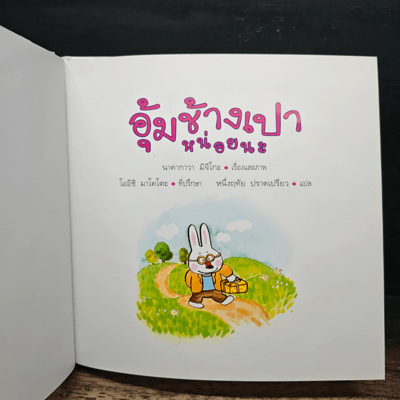 อุ้มช้างเปาหน่อยนะ รูปที่ 6