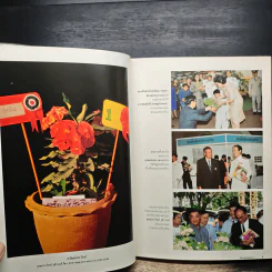 โป๊ยเซียน ไม้แห่งโชคลาภ รูปที่ 8