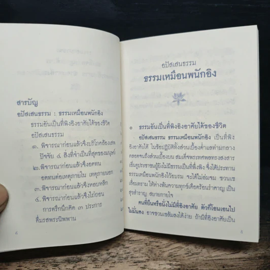 แม่ ผู้มีพระคุณของลูก รูปที่ 9