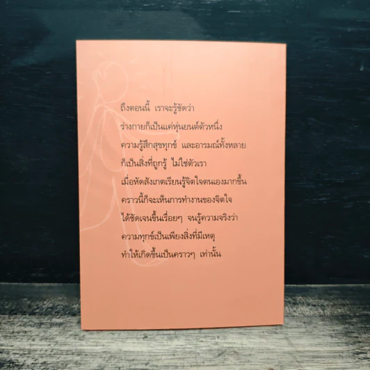 แด่เธอผู้มาใหม่ เรื่องเรียบง่ายและธรรมดาที่เรียกว่าธรรมะ - สันตินันท์ รูปที่ 2