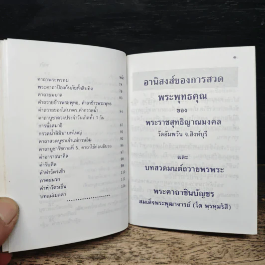 พระราชสุทธิญาณมงคล (หลวงพ่อจรัญ) รูปที่ 9