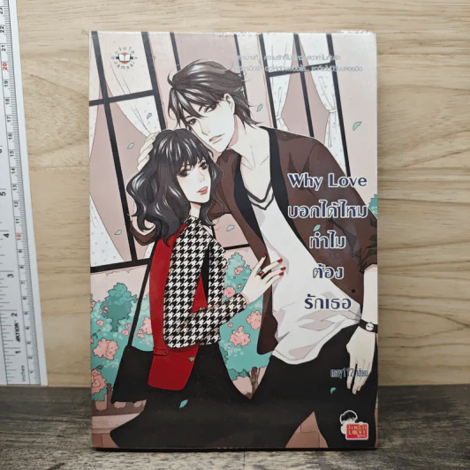Why Love บอกได้ไหม ทำไมต้องรักเธอ - May112 รูปที่ 1