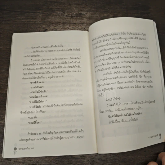 จากเมษาถึงยาหยี รูปที่ 8