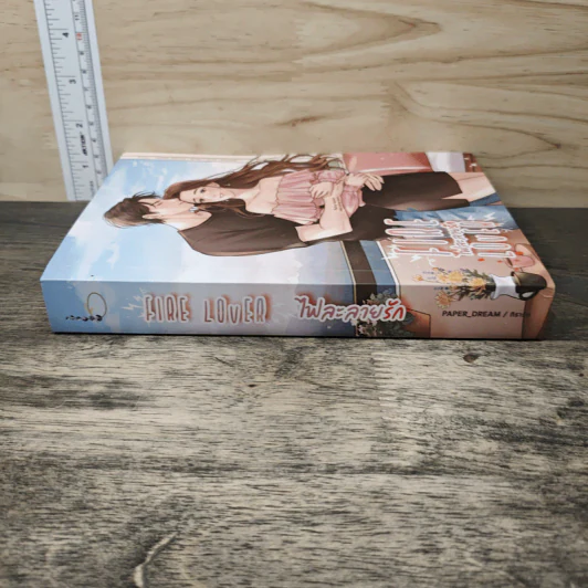 Fire love​ ไฟละลายรัก - PAPER_DREAM, ทิรารัน รูปที่ 2