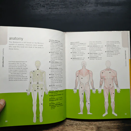 Step-by-Step Thai Massage - Niclaire Mann, Eleanor McKenzie รูปที่ 8