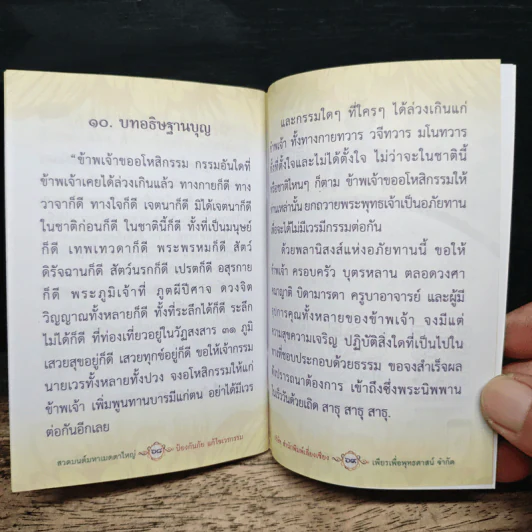 สวดมนต์มหาเมตตาใหญ่ ป้องกันภัย แก้ไขเวรกรรม รูปที่ 9