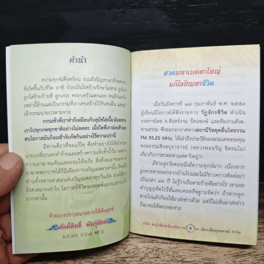 สวดมนต์มหาเมตตาใหญ่ ป้องกันภัย แก้ไขเวรกรรม รูปที่ 6