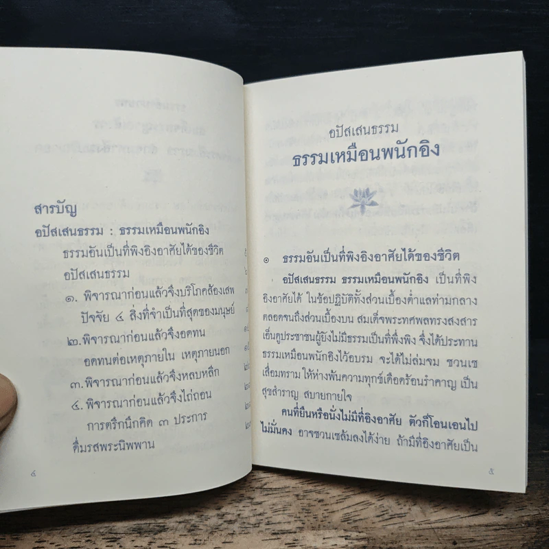 แม่ ผู้มีพระคุณของลูก รูปที่ 9