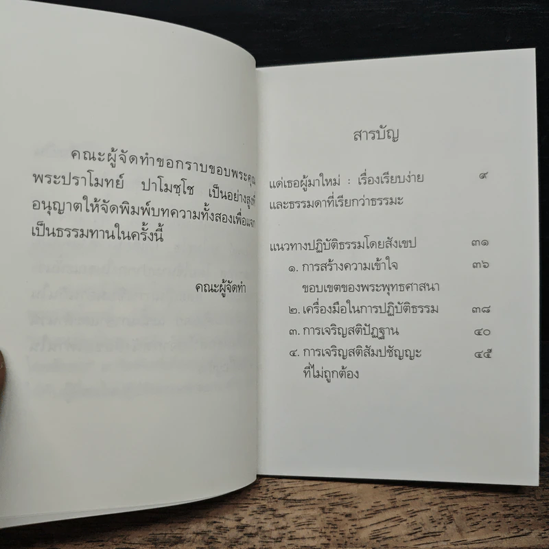 แด่เธอผู้มาใหม่ เรื่องเรียบง่ายและธรรมดาที่เรียกว่าธรรมะ - สันตินันท์ รูปที่ 7