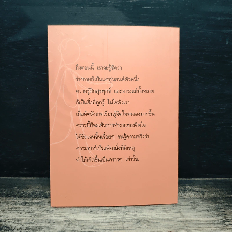 แด่เธอผู้มาใหม่ เรื่องเรียบง่ายและธรรมดาที่เรียกว่าธรรมะ - สันตินันท์ รูปที่ 2