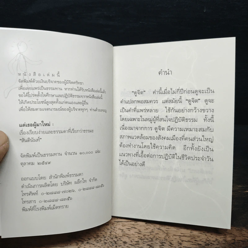 แด่เธอผู้มาใหม่ เรื่องเรียบง่ายและธรรมดาที่เรียกว่าธรรมะ - สันตินันท์ รูปที่ 6