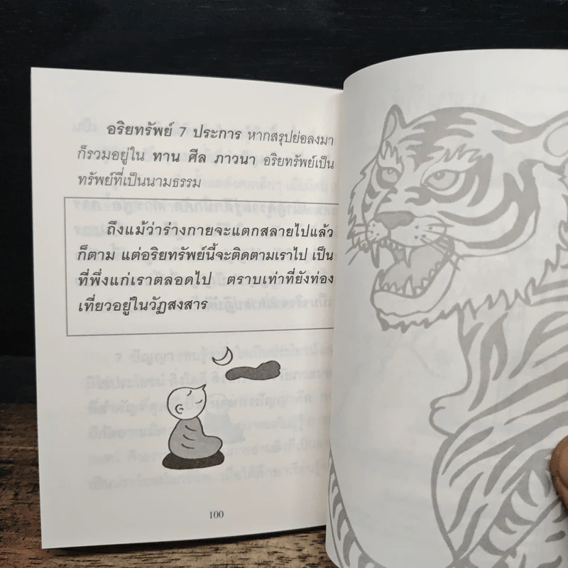 ใจดีสู้เสือ - พระอาจารย์มิตซูโอะ คเวสโก รูปที่ 8