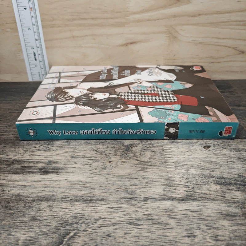 Why Love บอกได้ไหม ทำไมต้องรักเธอ - May112 รูปที่ 2