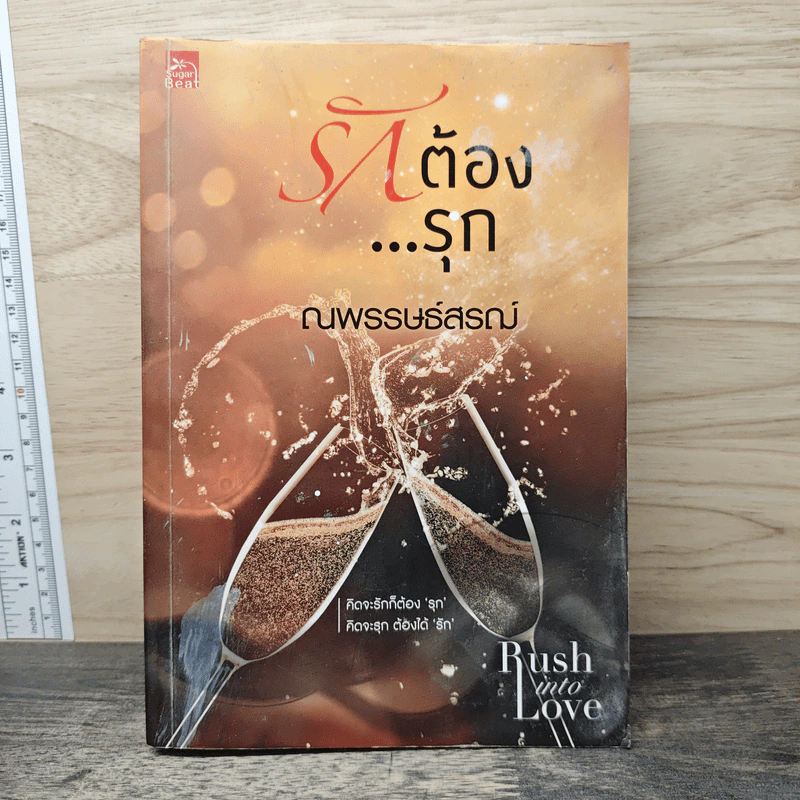 รักต้อง...รุก - ณพรรษธ์สรฌ์ รูปที่ 1