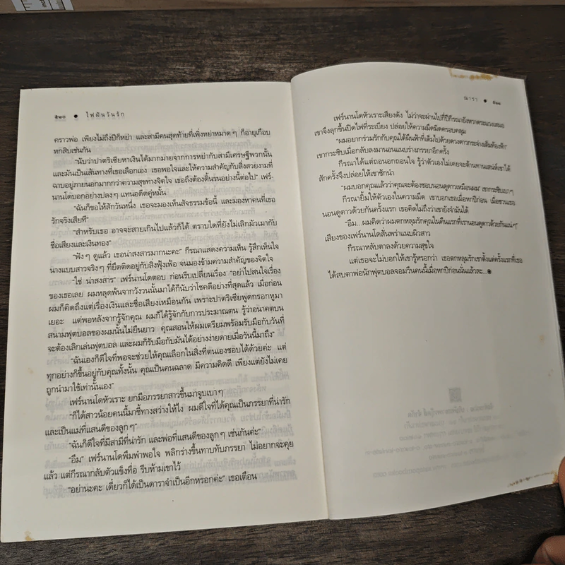 ไฟฝันวันรัก - ณารา รูปที่ 8