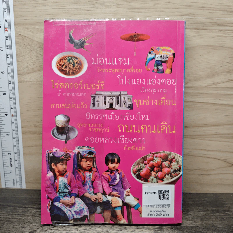 เที่ยวเชียงใหม่ Chiang Mai - พจนกุล ชาญวานิชบริการ รูปที่ 5