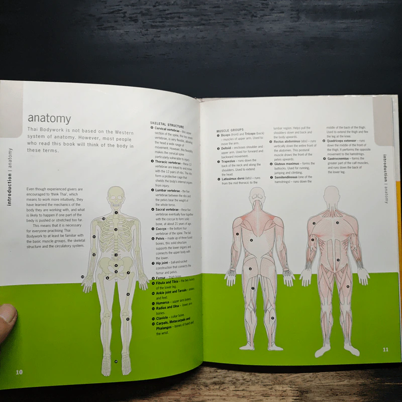 Step-by-Step Thai Massage - Niclaire Mann, Eleanor McKenzie รูปที่ 8