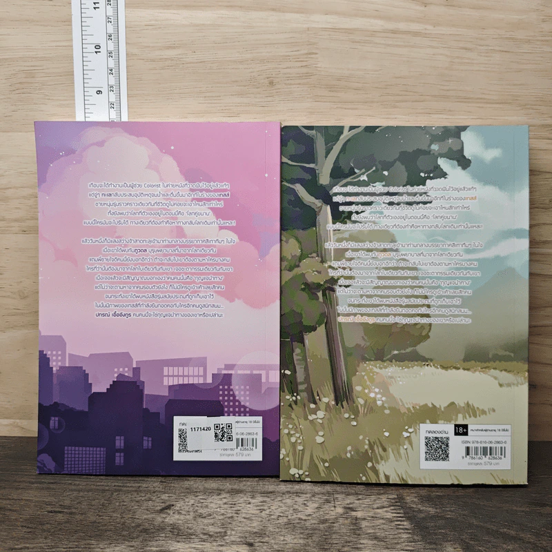 Vice Versa รักสลับโลก 2 เล่มจบ - JittiRain รูปที่ 2