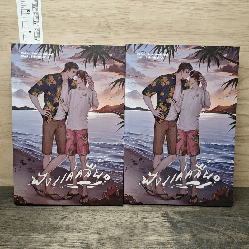 ฟังแค่คลื่น 2 เล่มจบ - SmallWorld3me รูปที่ 1